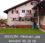 DSC01350 (Medium).jpg