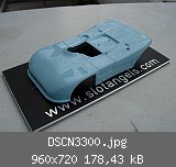 DSCN3300.jpg