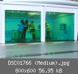 DSC01766 (Medium).jpg